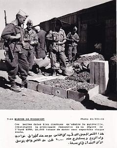 Algerie propagande 039